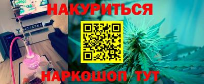 крисы Партизанск