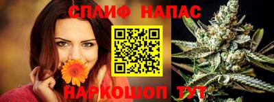 сатива Пенза