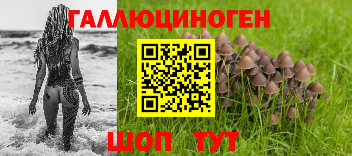 Псилоцибиновые грибы ЛСД  Вход с VPN  Сланцы 