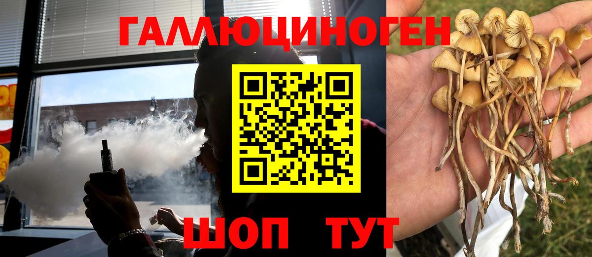 Псилоцибиновые грибы GOLDEN TEACHER Сланцы